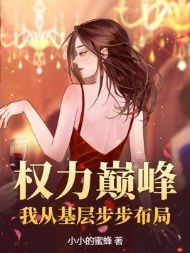 权力巅峰继续全集阅读