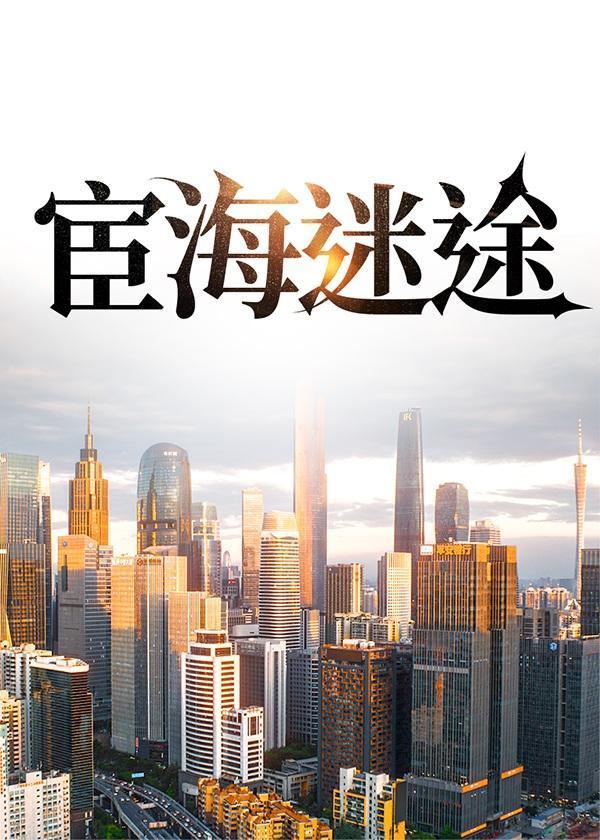 宦海迷途叶剑彬与柳诗佳